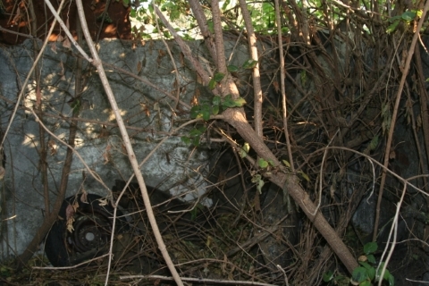 Resto da divisão onde nasci…