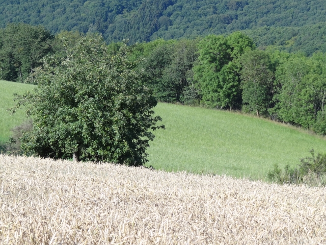 Fotos de paisagens… (2/22)