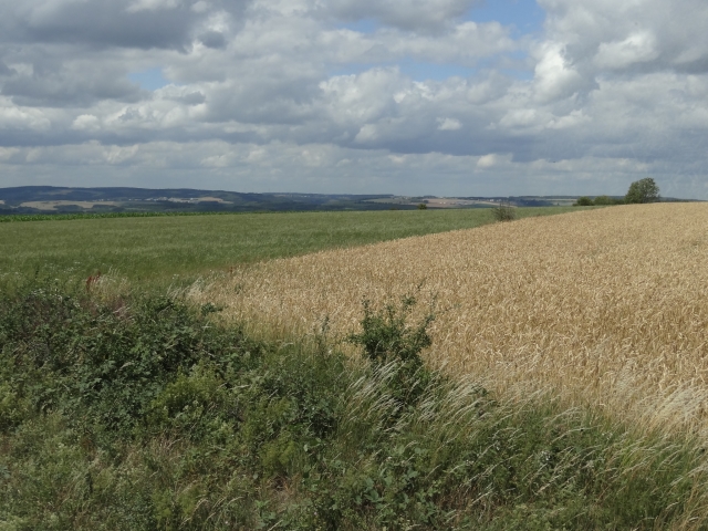 Fotos de paisagens… (4/22)