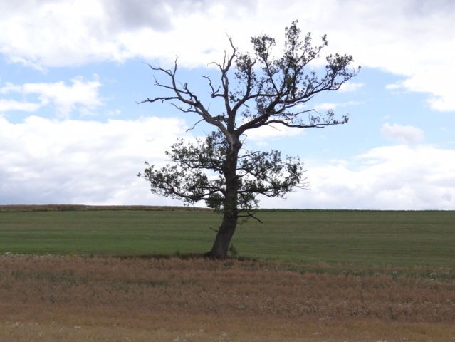 Nome: Fotos de paisagens… (2/35)