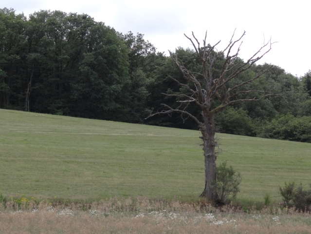 Nome: Fotos de paisagens… (3/35)