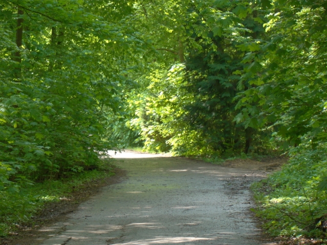 Nome: Fotos de paisagens… (8/35)