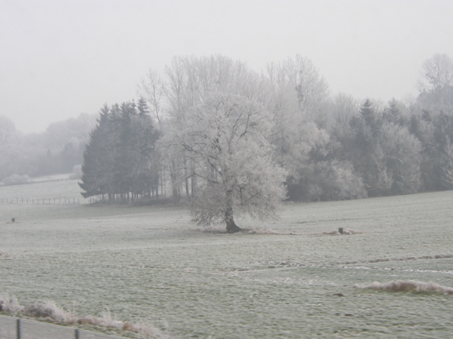 Nome: Fotos de paisagens… (23/35)