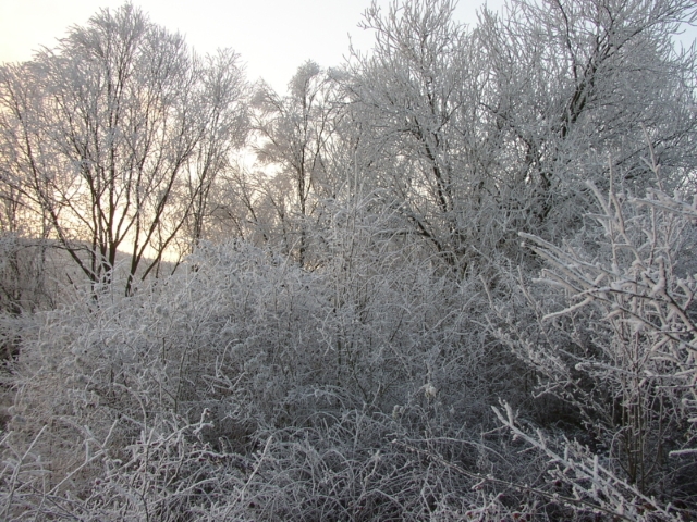 Nome: Fotos de paisagens… (34/35)