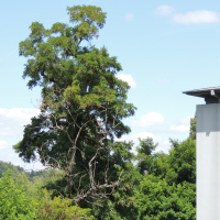 Imagem modelo